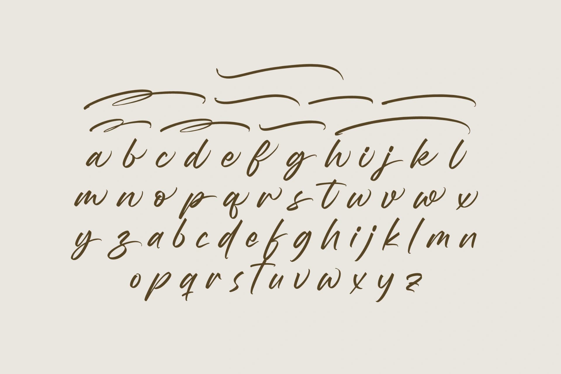 Preview 14 for Wystine Esphelta - Modern Brush Font