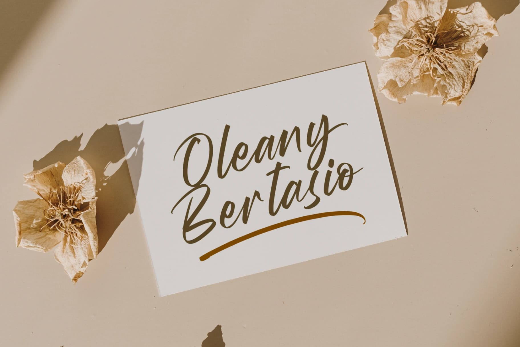 Preview 12 for Wystine Esphelta - Modern Brush Font