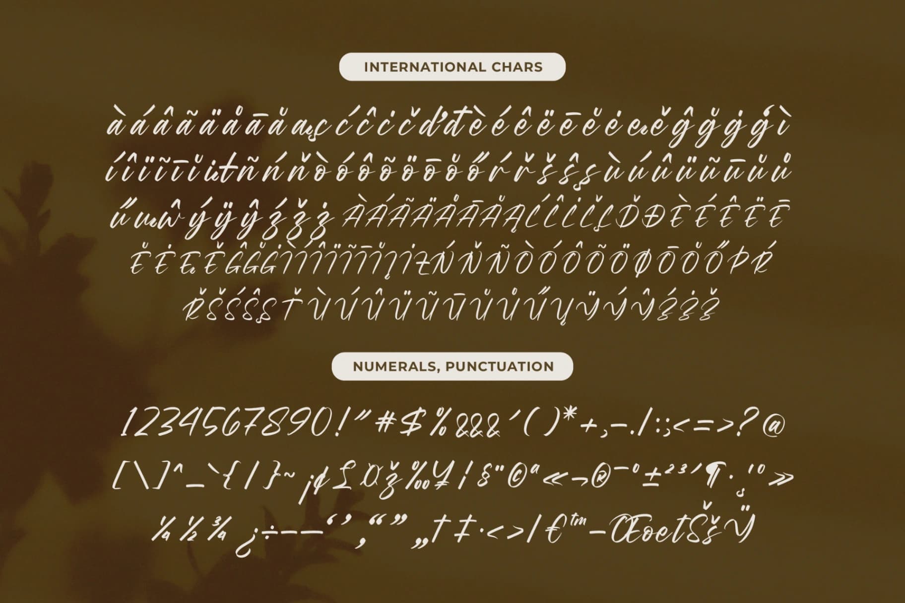 Preview 19 for Wystine Esphelta - Modern Brush Font