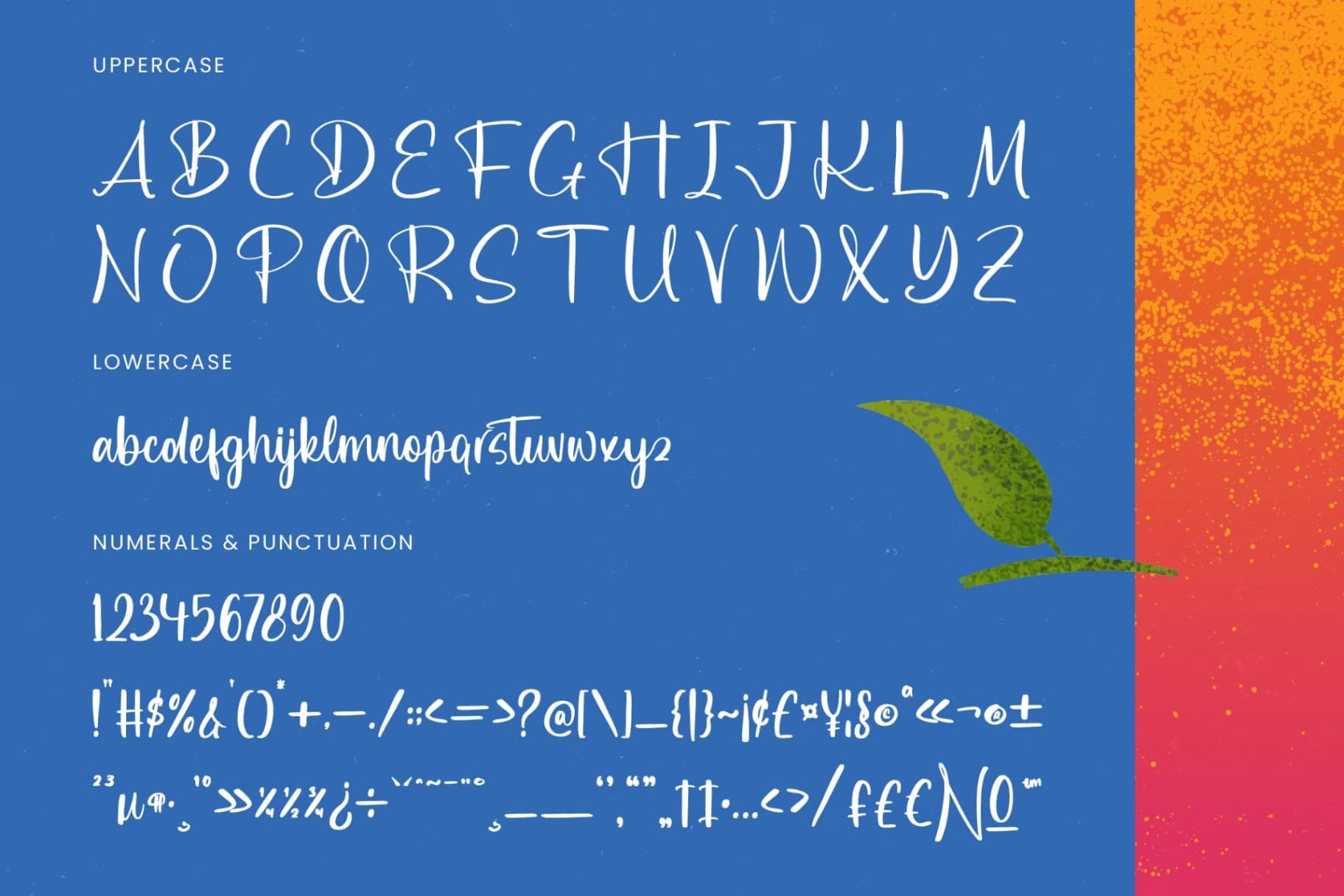 Preview 17 for Delights Fruity - Bold Brush Font