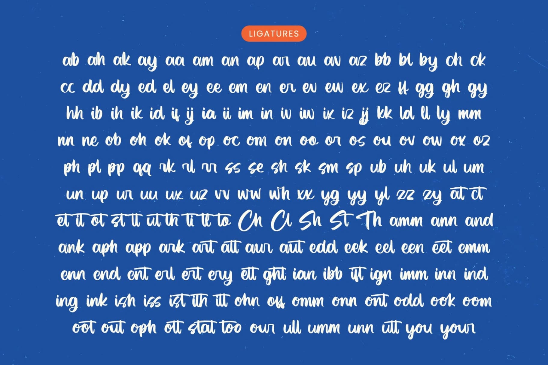 Preview 18 for Factual Reality - Modern Brush Font