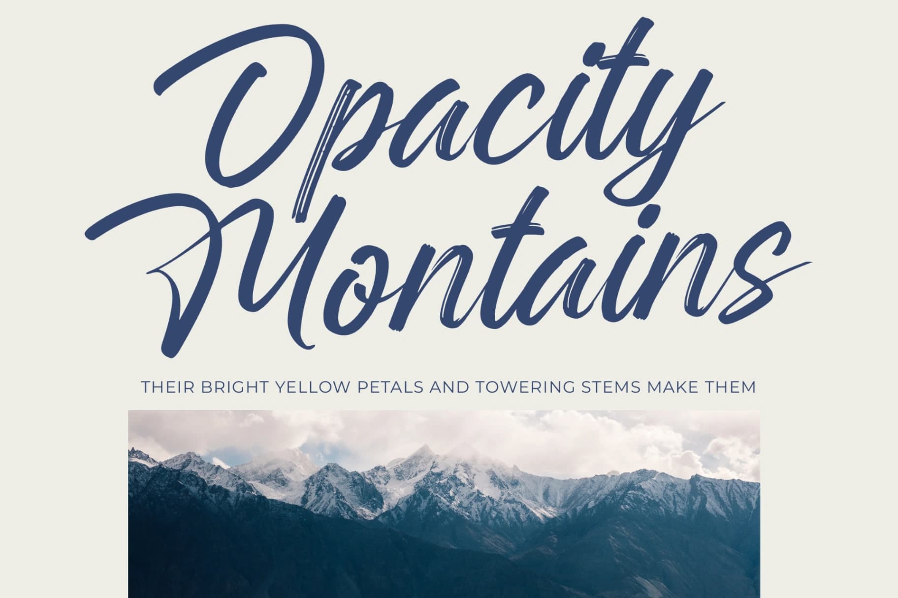Preview 11 for Rangdak Morattes - Bold Brush Type Font