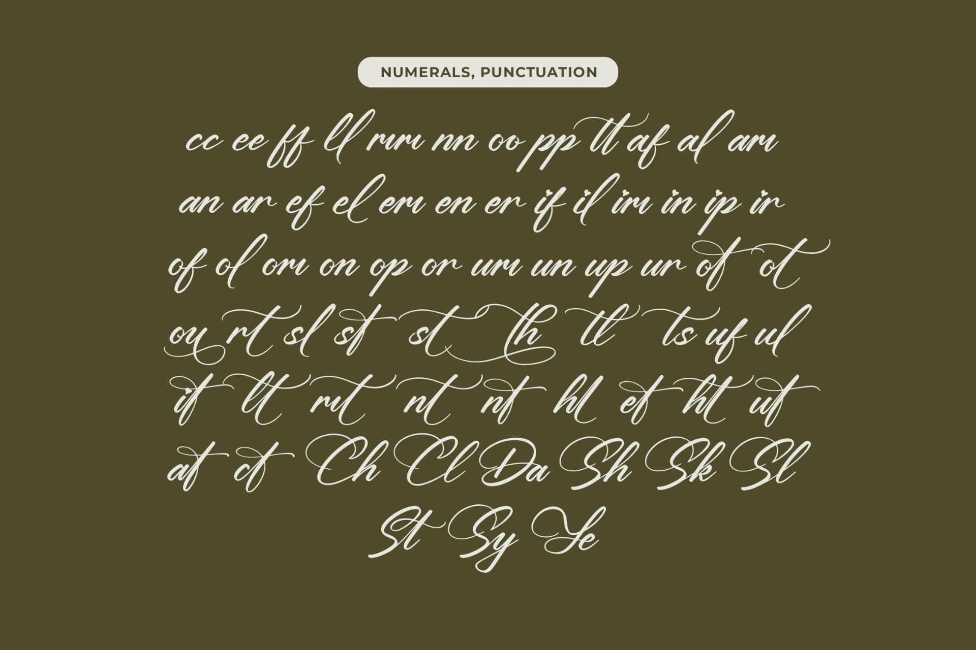 Preview 17 for Yeliska Dasmithe - Stylish Calligraphy Font