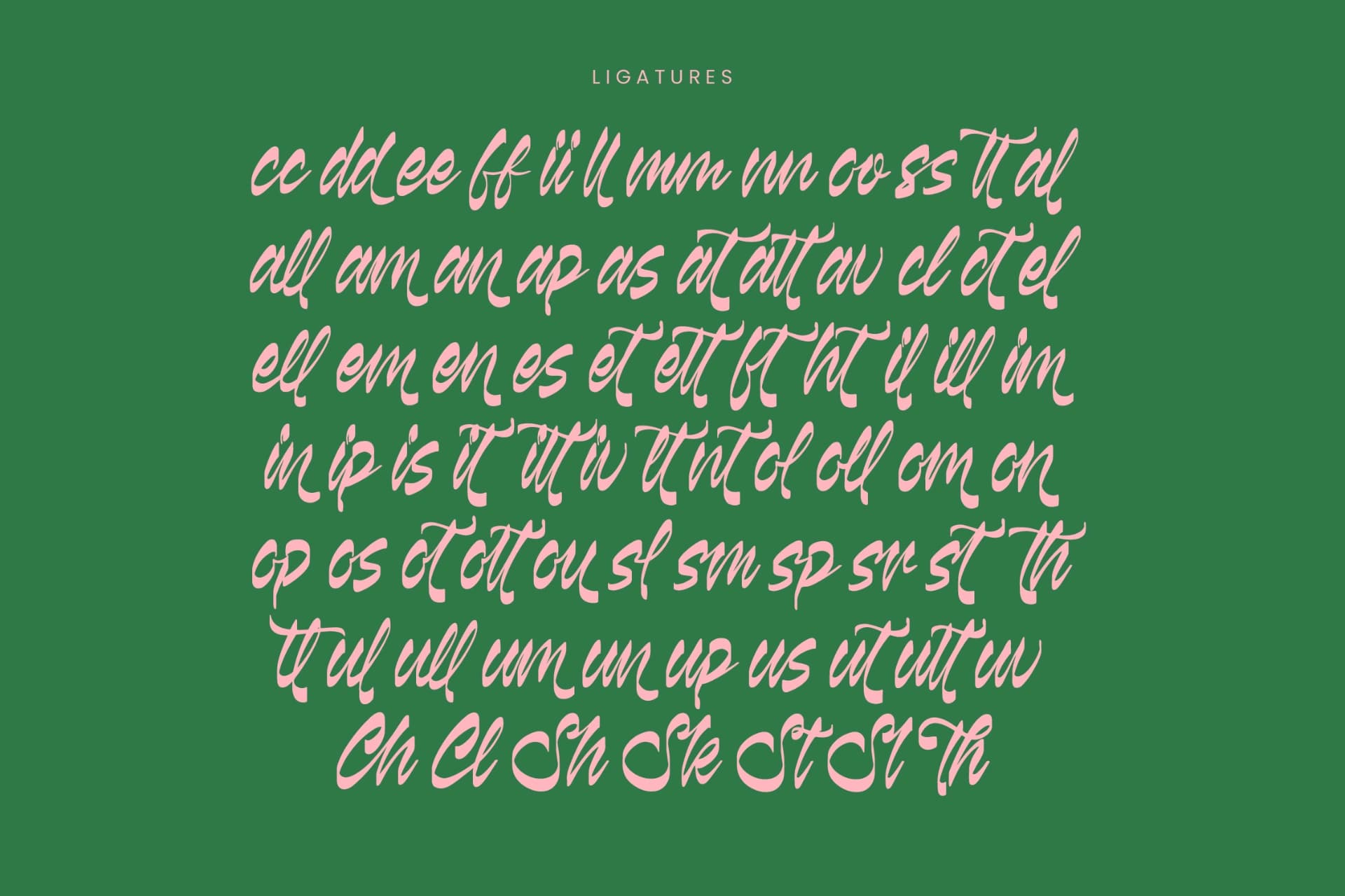 Preview 18 for Kabetha Shelyne - Bold Calligraphy Font