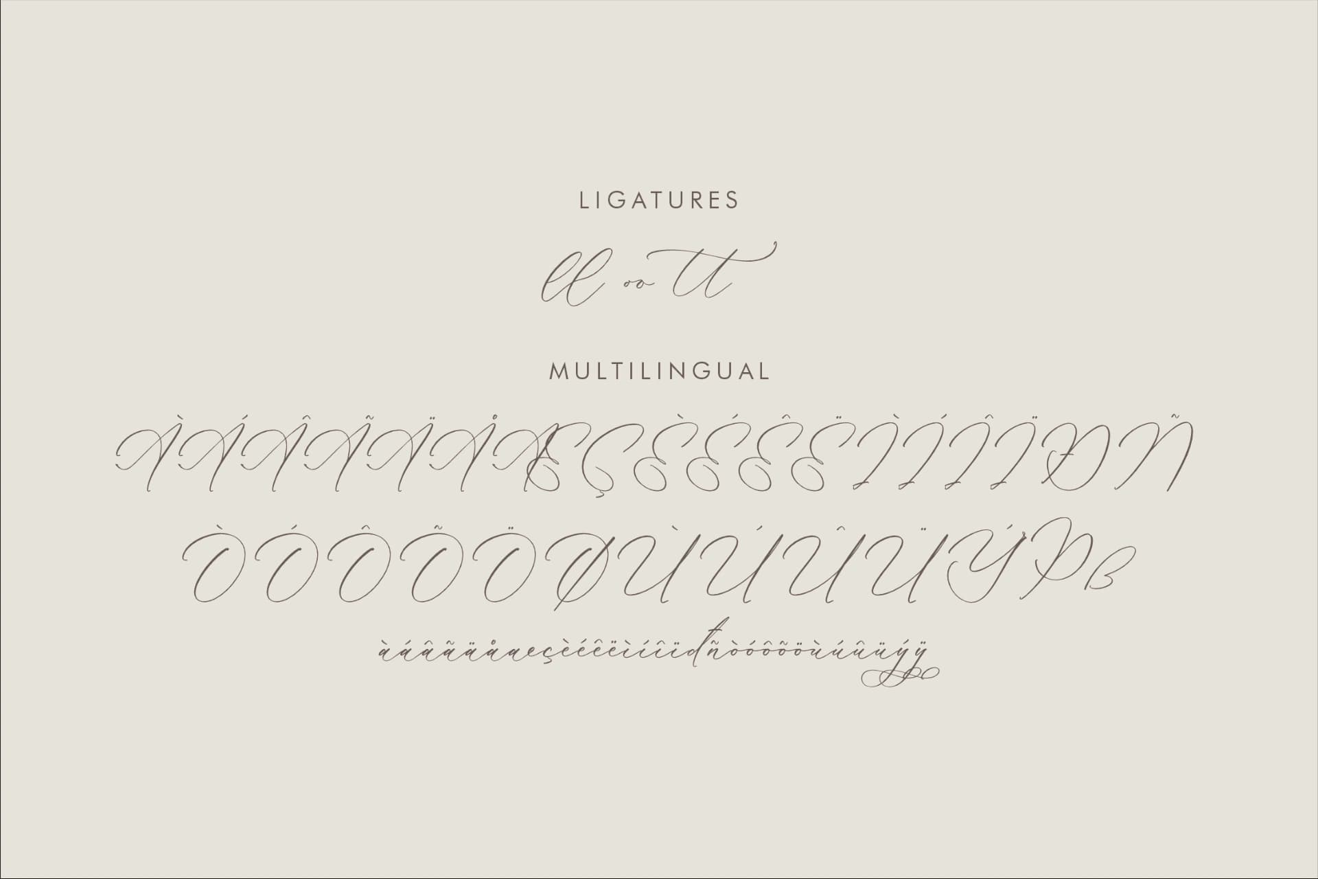 Preview 14 for Kalneitta Aldonite - Chic Calligraphy Font