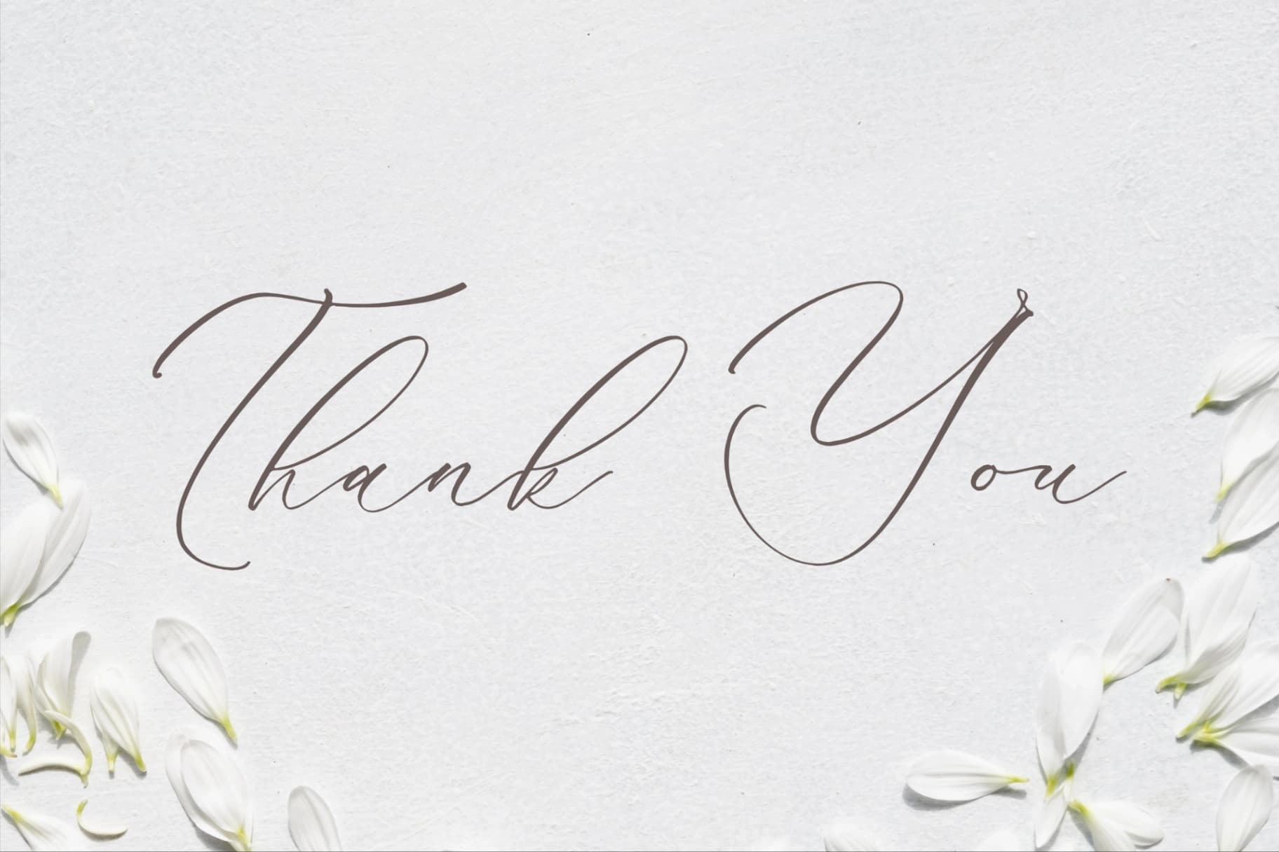 Preview 15 for Kalneitta Aldonite - Chic Calligraphy Font