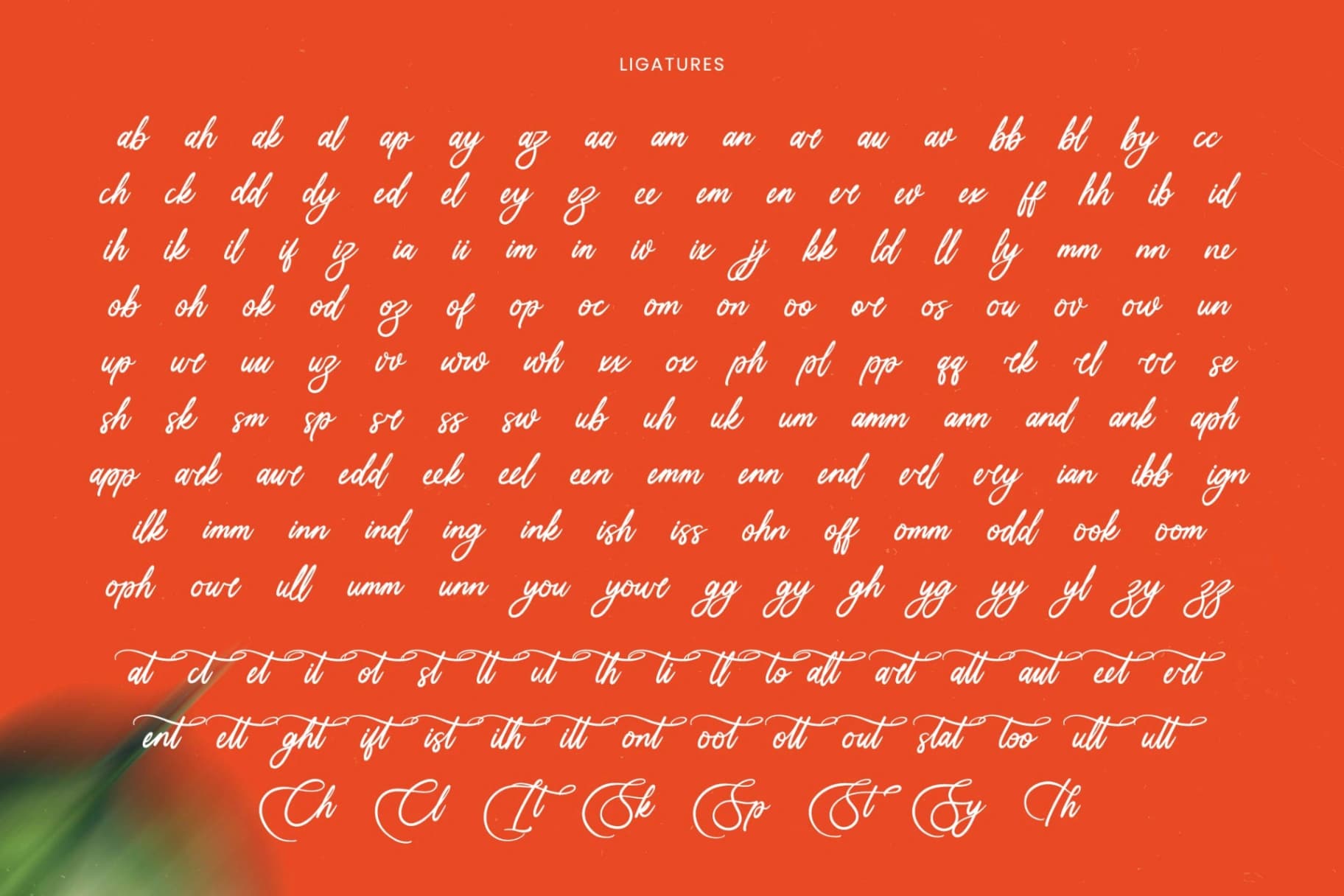 Preview 17 for Uniquely Vifanite - Bold Calligraphy Font
