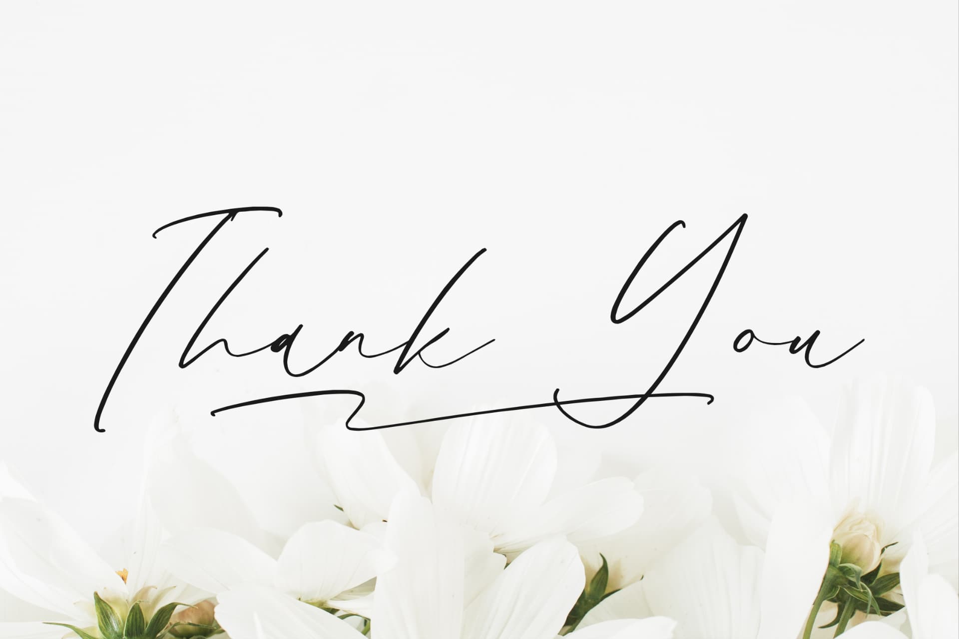 Preview 15 for Gatenfield Mondilla - Modern Signature Font