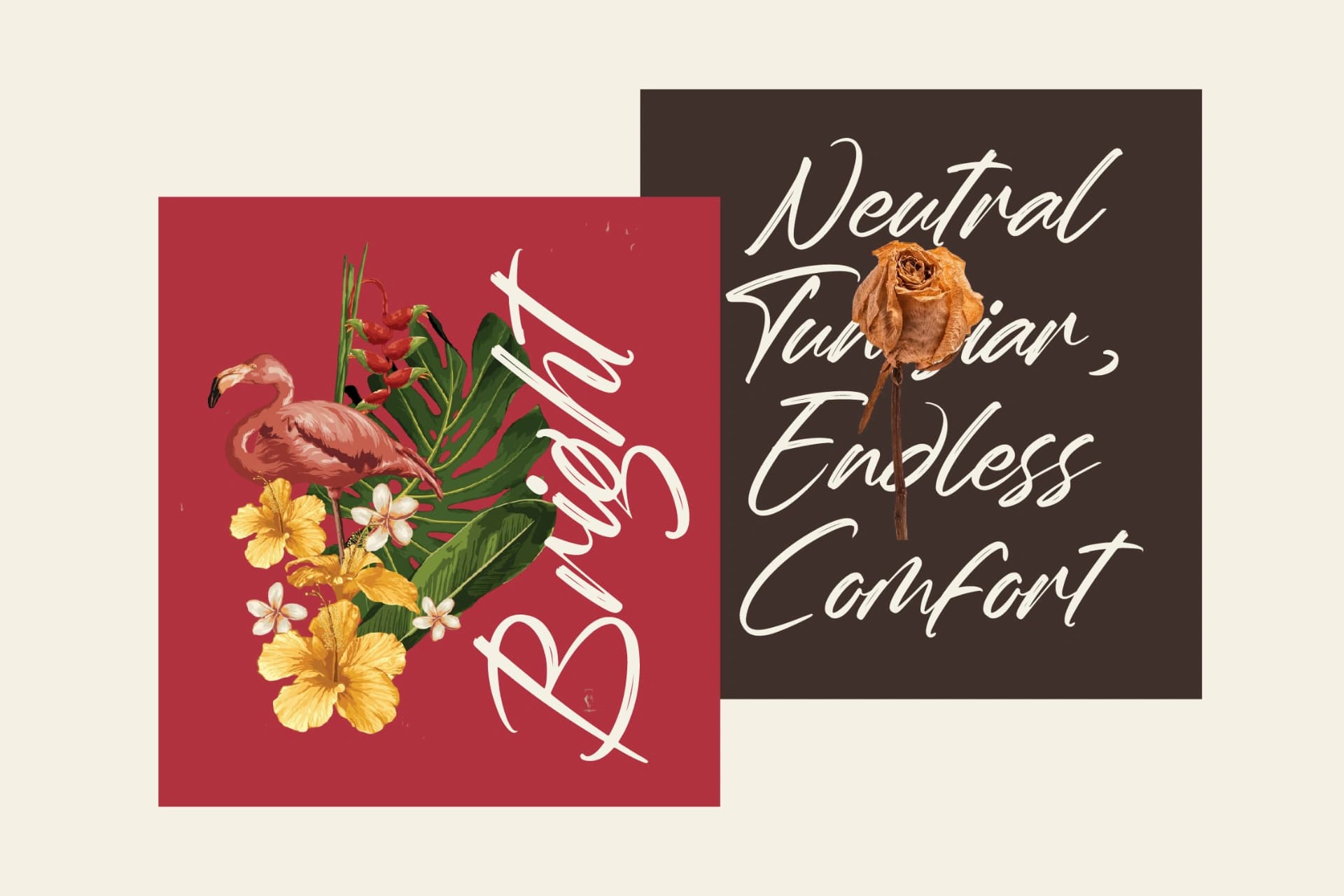 Preview 8 for Whadrat Chothelis - Modern Brush Font Type