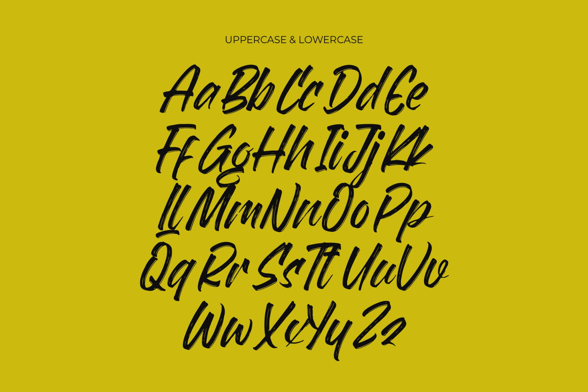 Preview 10 for Flackin Bruska - Modern Brush Font