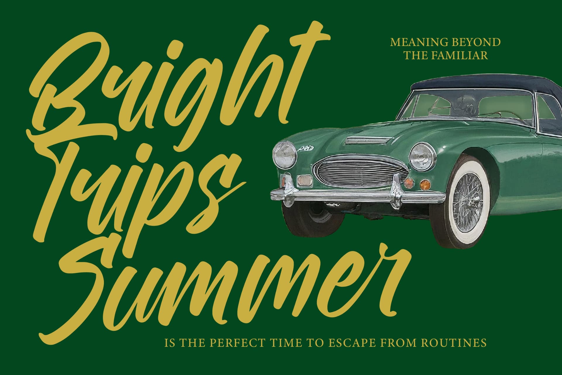 Preview 11 for Royalett Santhun - Bold Handwritten Font