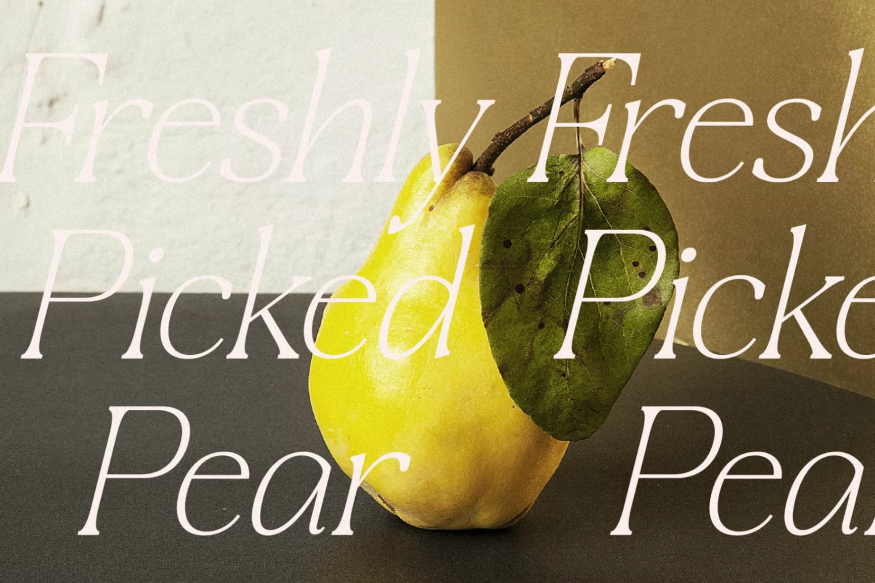 Preview 8 for Craftern - New Modern Serif Font