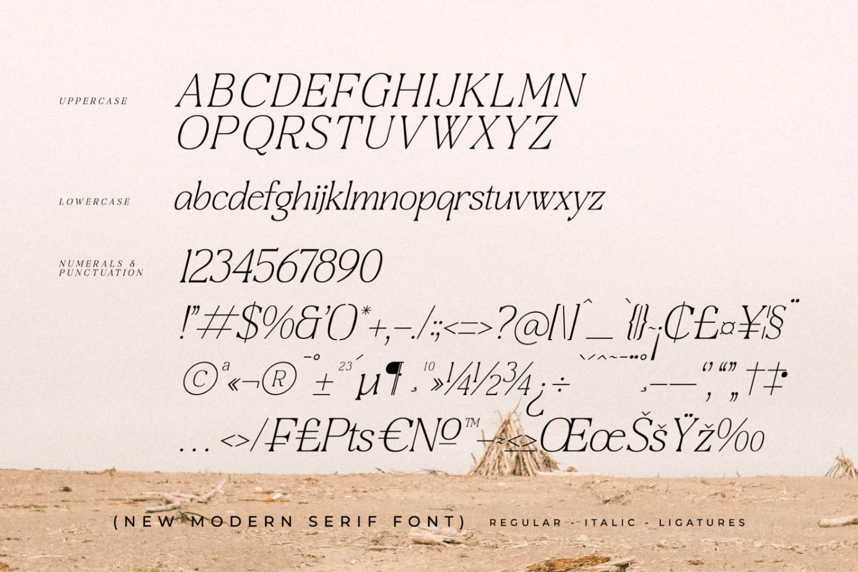 Preview 14 for Craftern - New Modern Serif Font