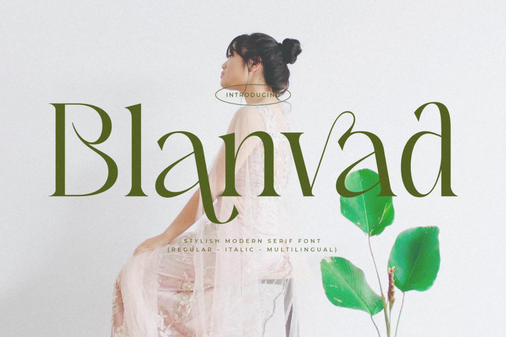 Preview of Blanvad - Stylish Modern Serif font