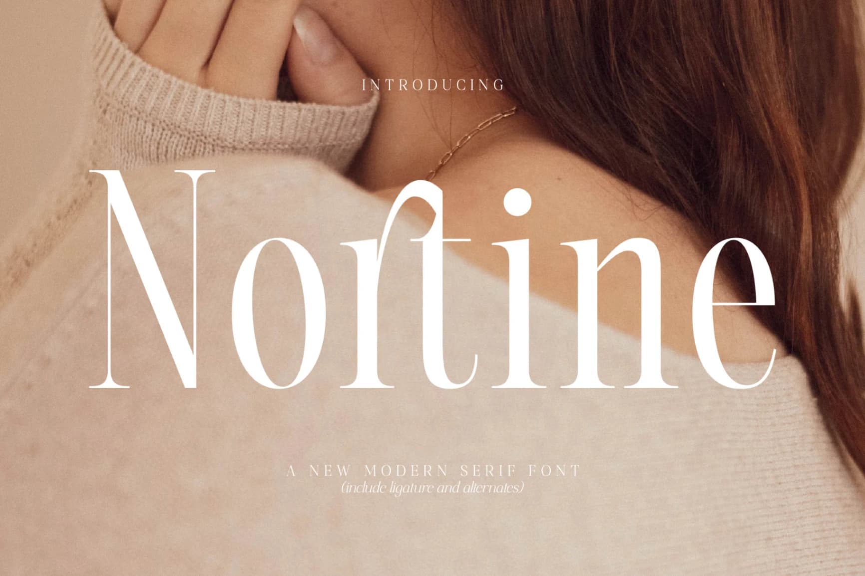 Preview of Nortine - A New Modern Serif Font font