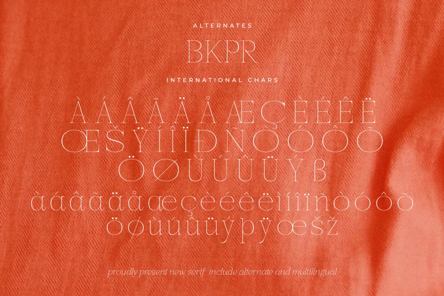 Preview 14 for Moenalica - Modern Serif Font