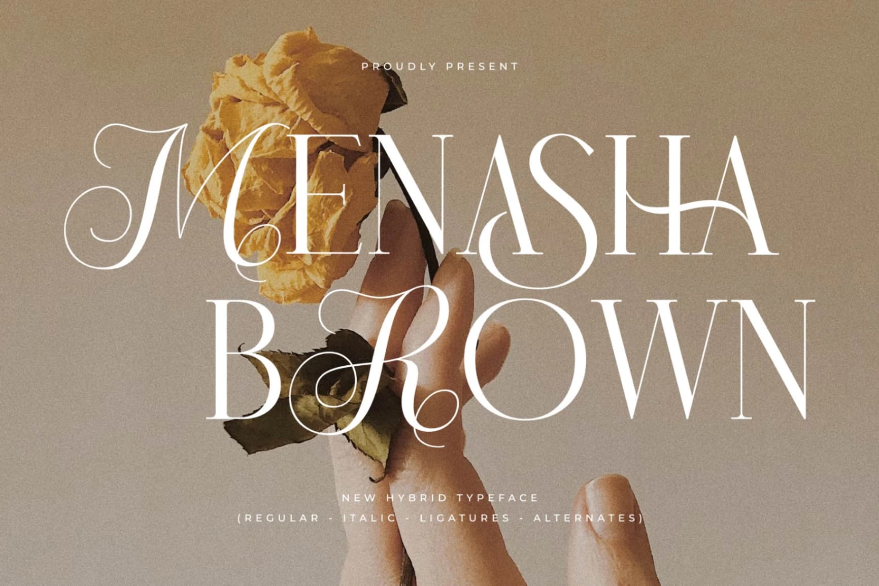 Preview of Menasha Brown - New Hybrid Typeface font