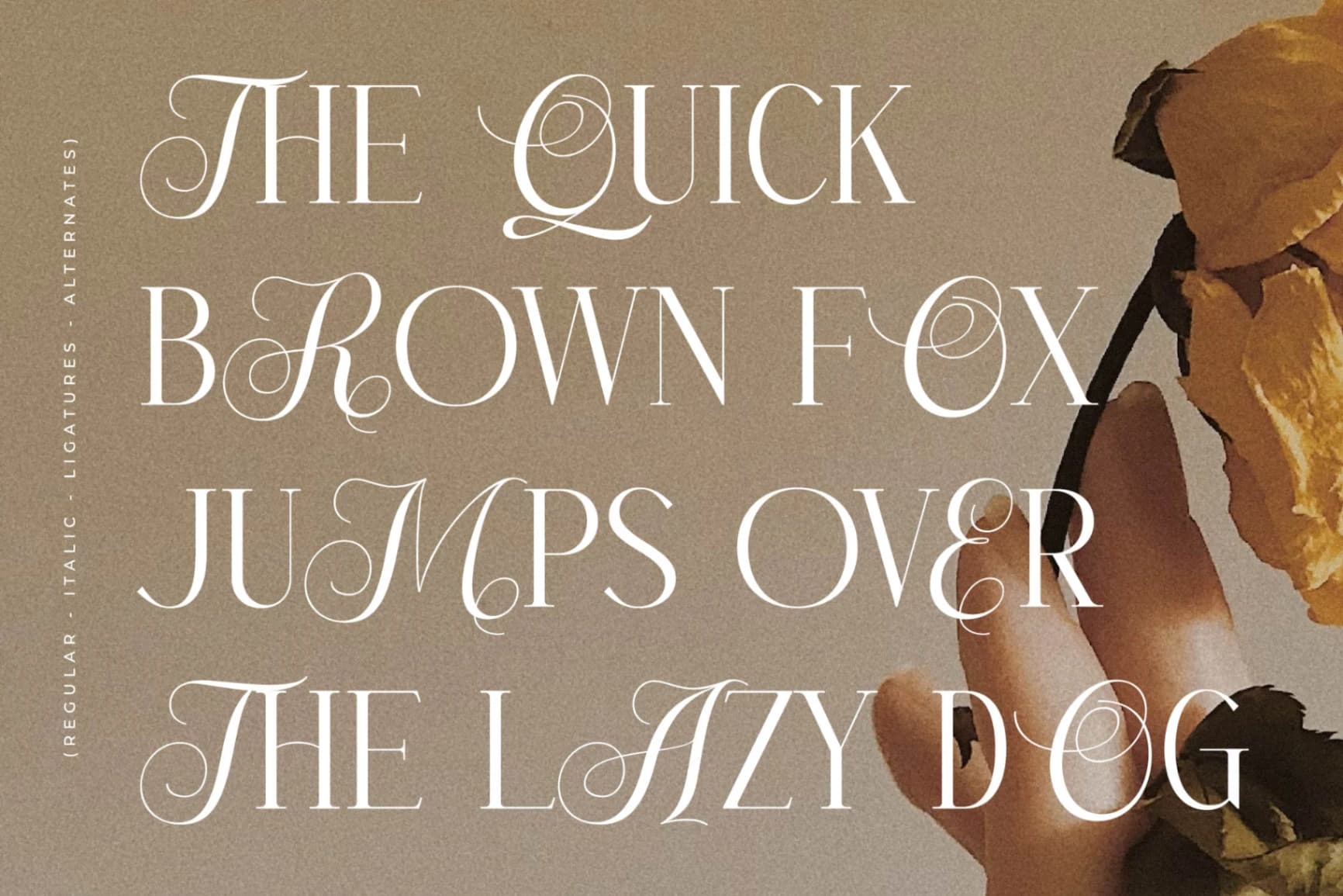 Preview 5 for Menasha Brown - New Hybrid Typeface