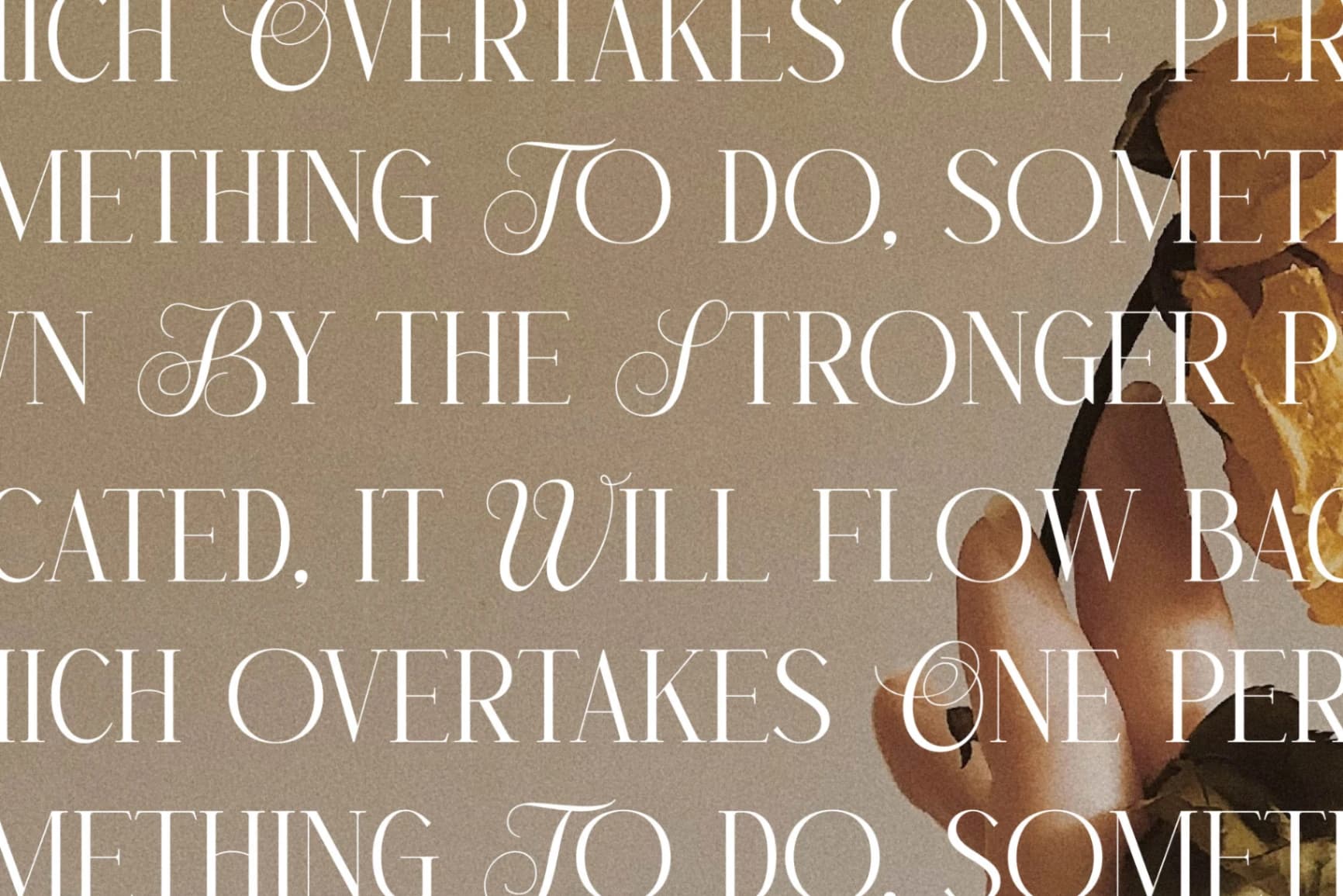 Preview 9 for Menasha Brown - New Hybrid Typeface
