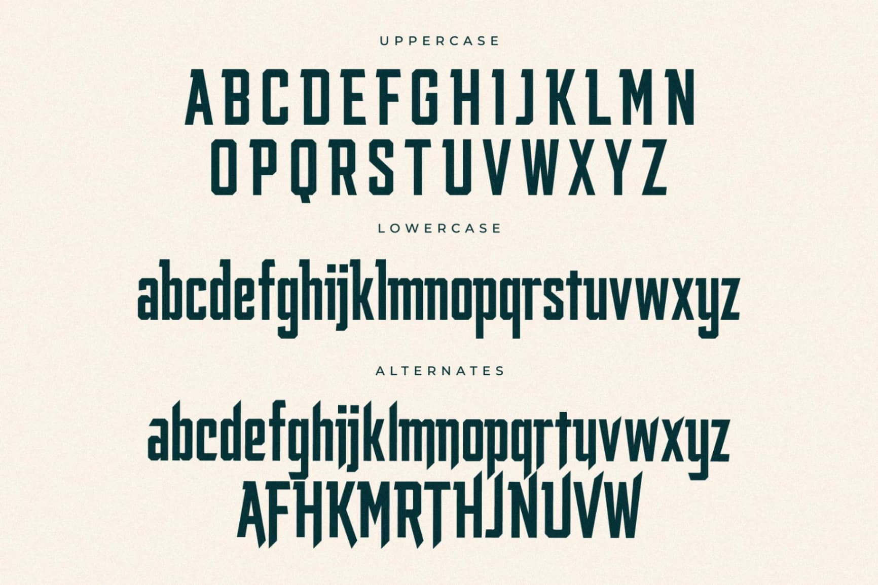 Preview 13 for Smith Buck - Modern Sans Serif