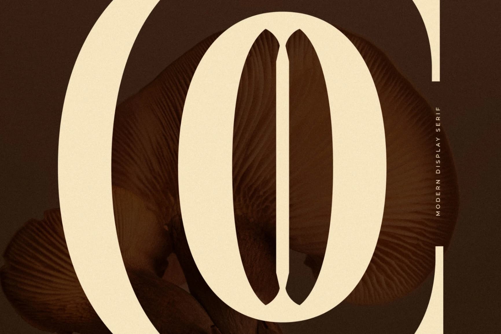 Preview 3 for Cholten - Modern Display Serif Font