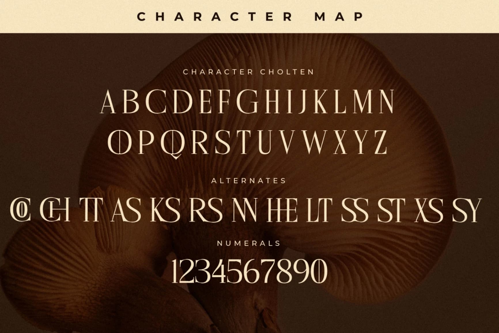 Preview 13 for Cholten - Modern Display Serif Font