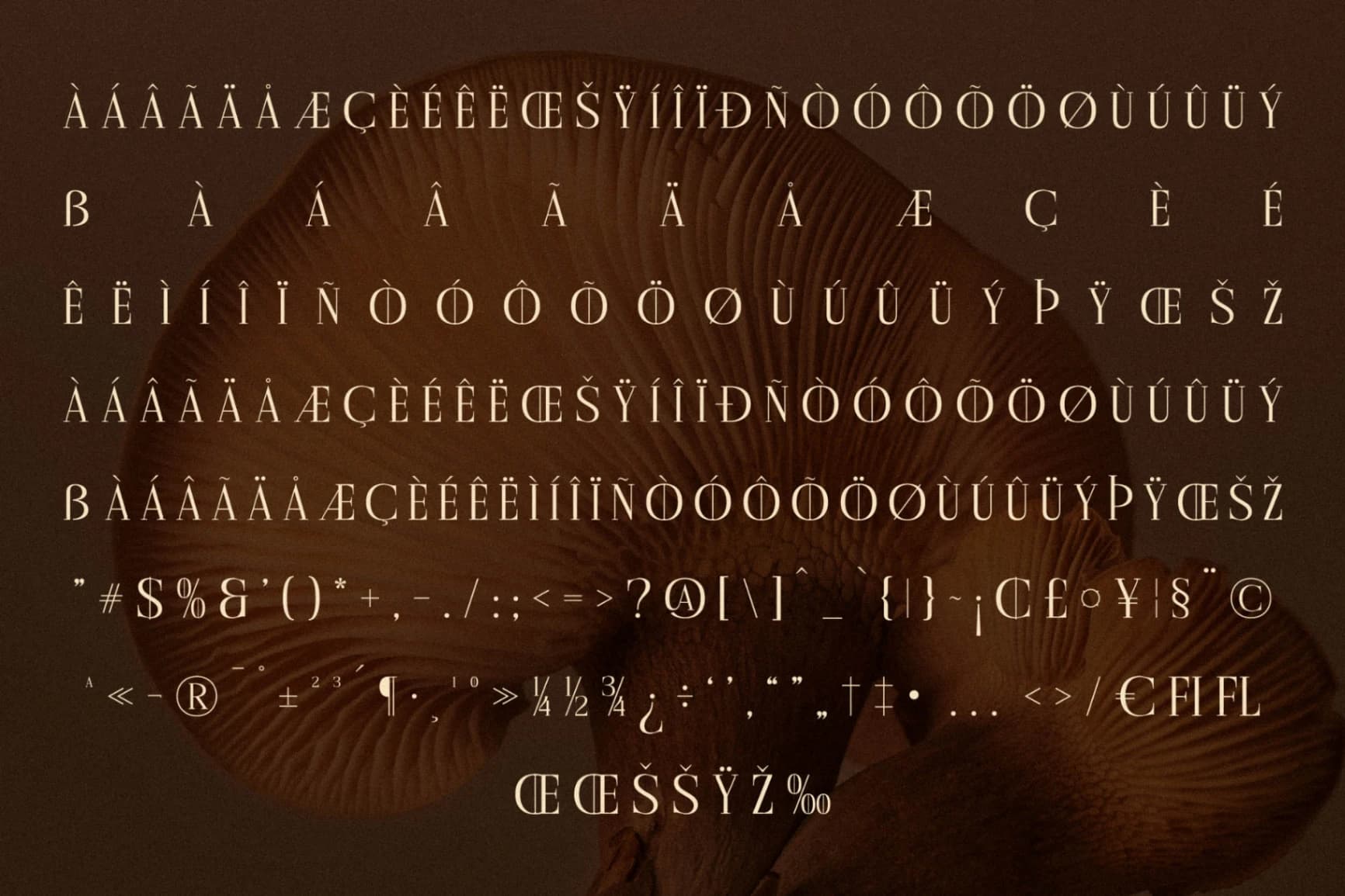 Preview 14 for Cholten - Modern Display Serif Font