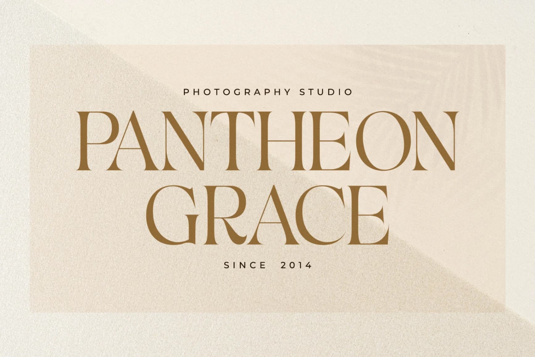 Preview 5 for Qalogre - Modern Serif Font
