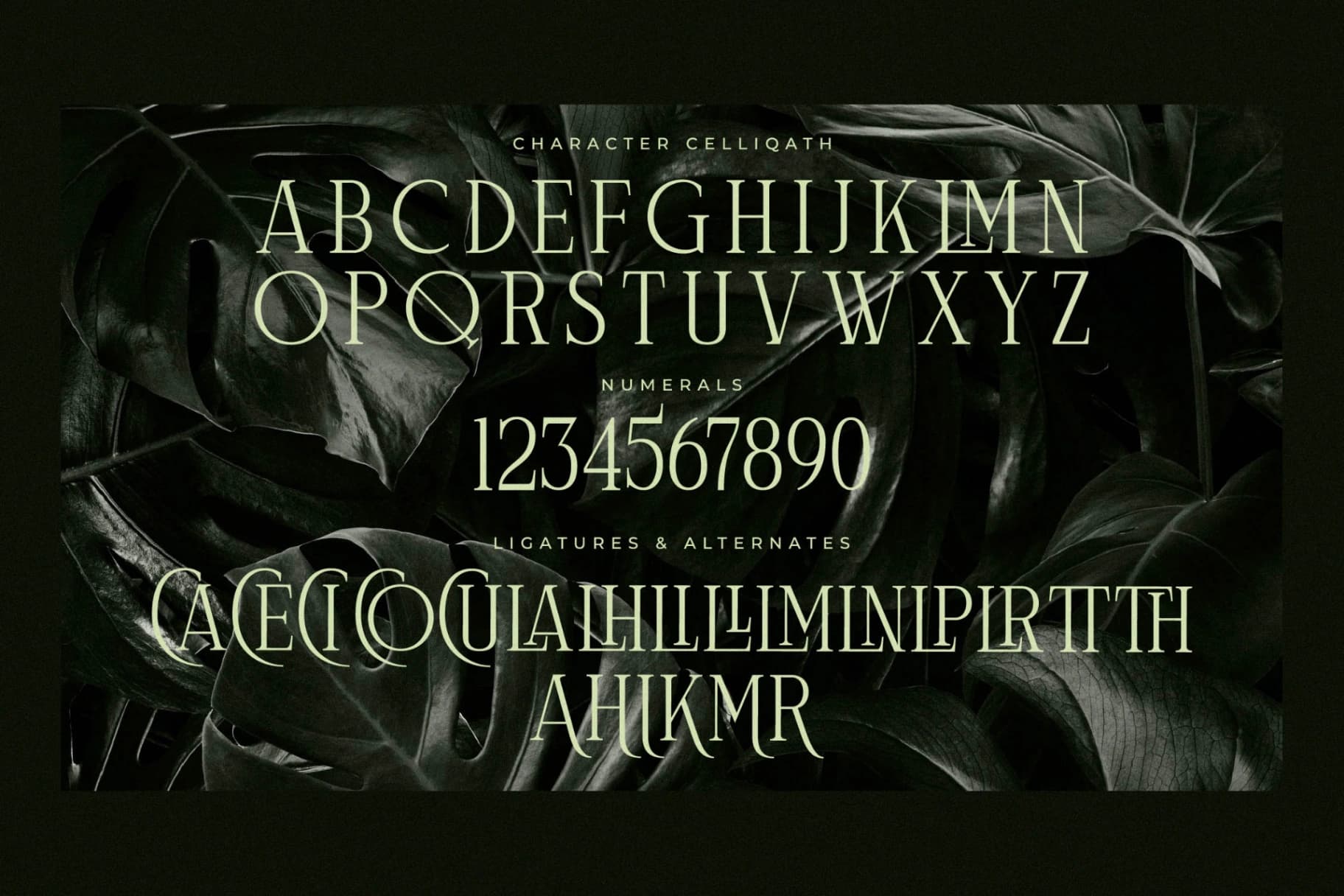 Preview 13 for Celliqath - Modern Display Font