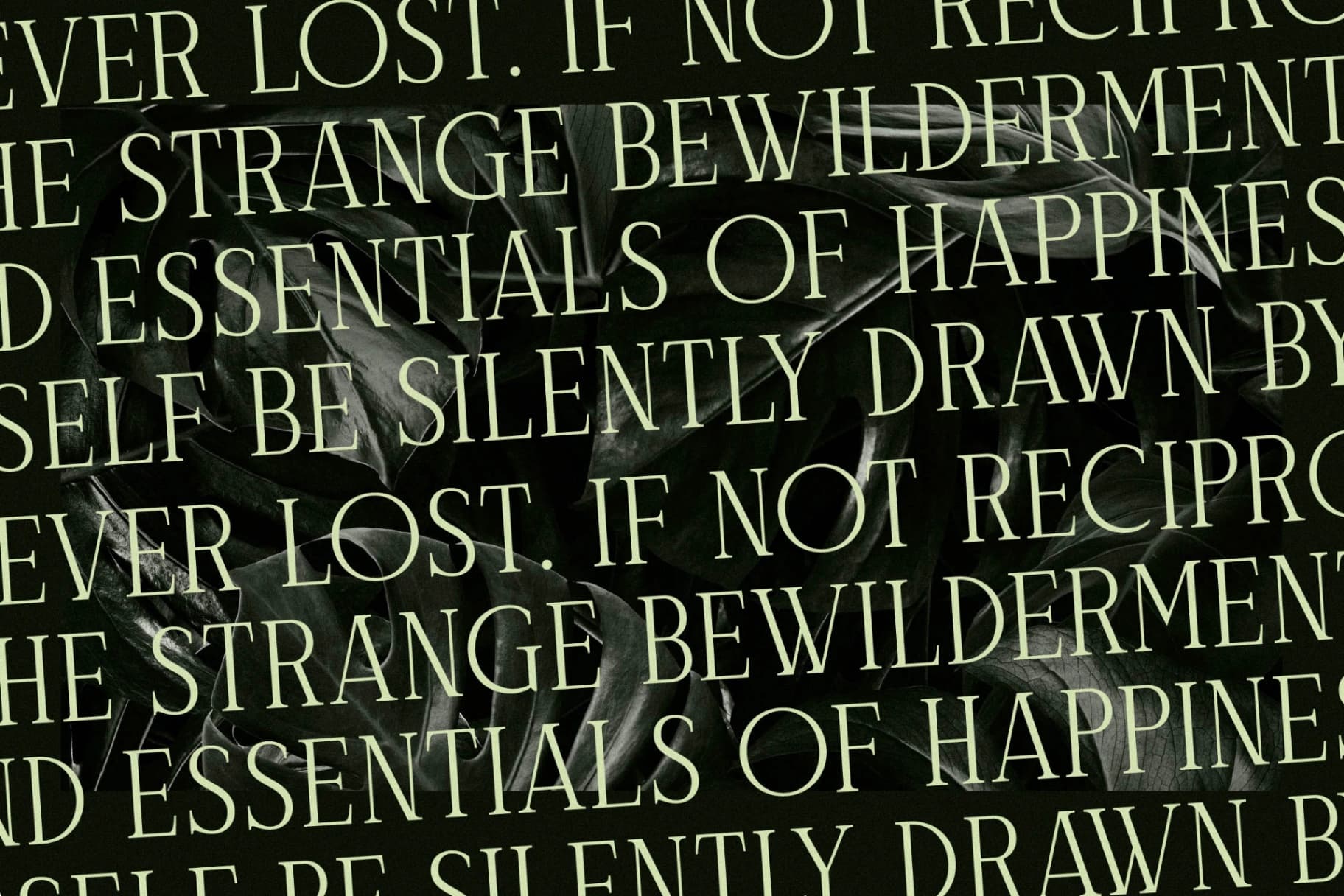 Preview 9 for Celliqath - Modern Display Font