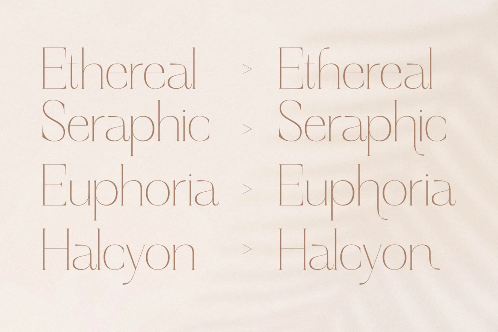 Preview 10 for Haloyen - Stylish Font Serif