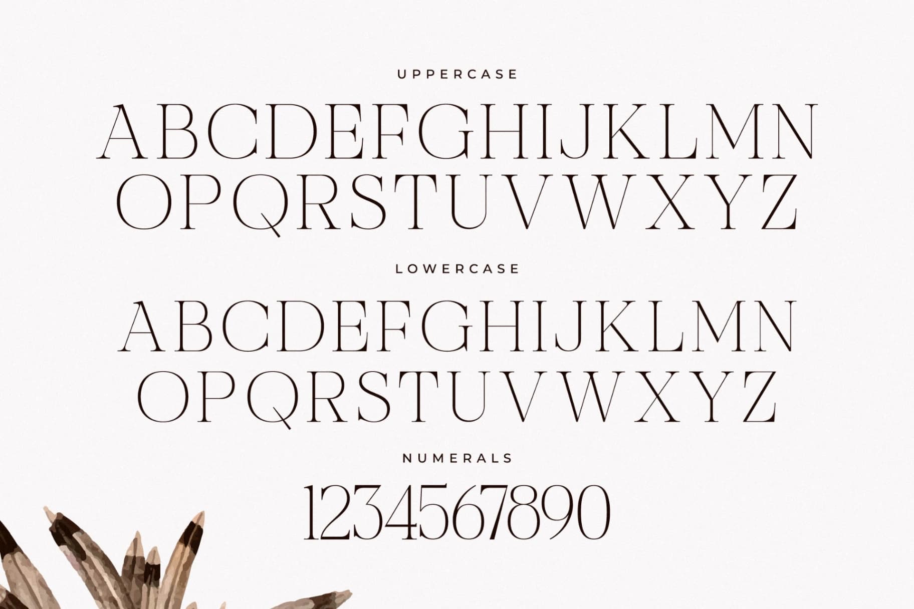 Preview 12 for Nocashe - New Display Serif Font