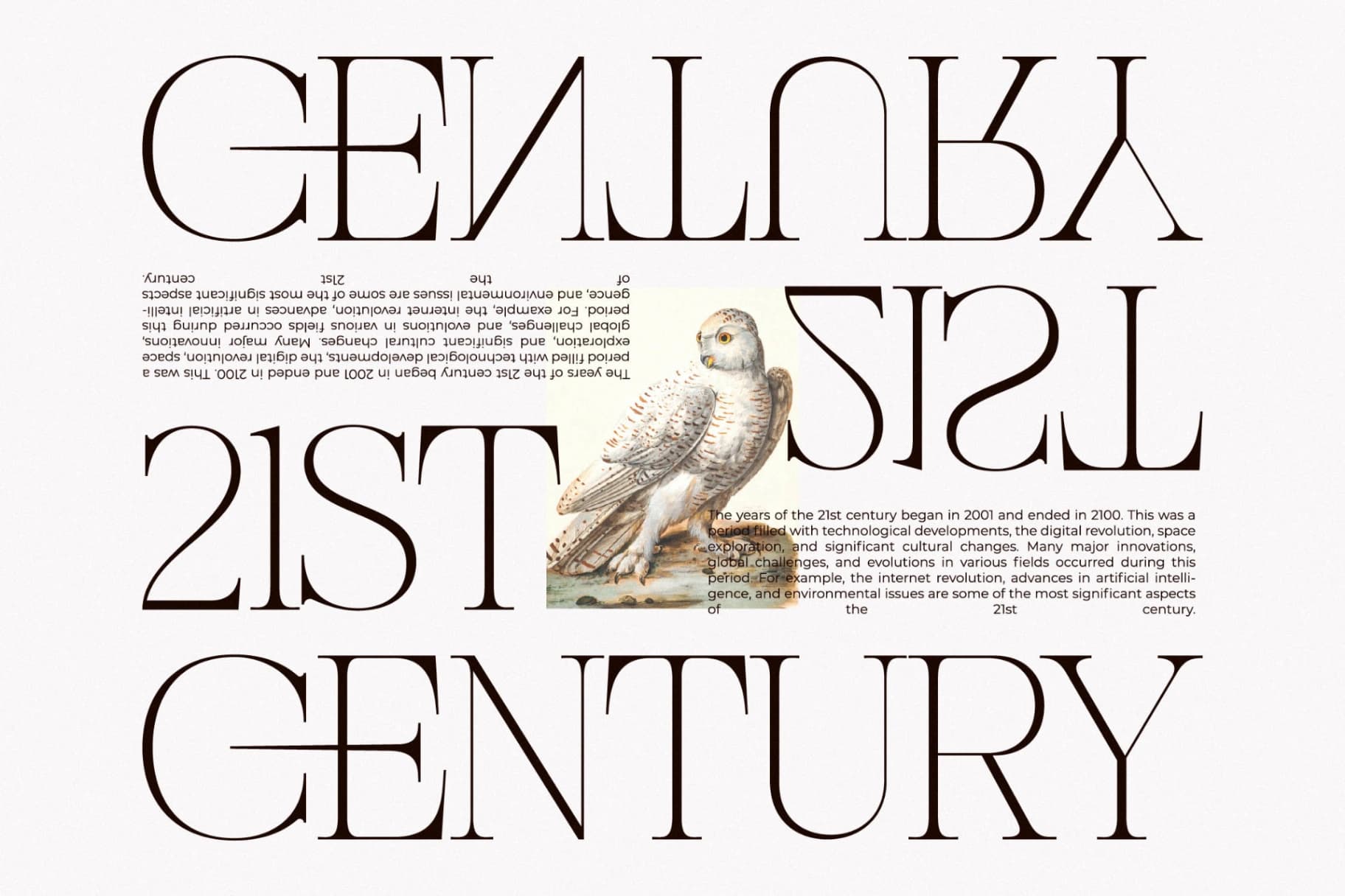 Preview 3 for Nocashe - New Display Serif Font
