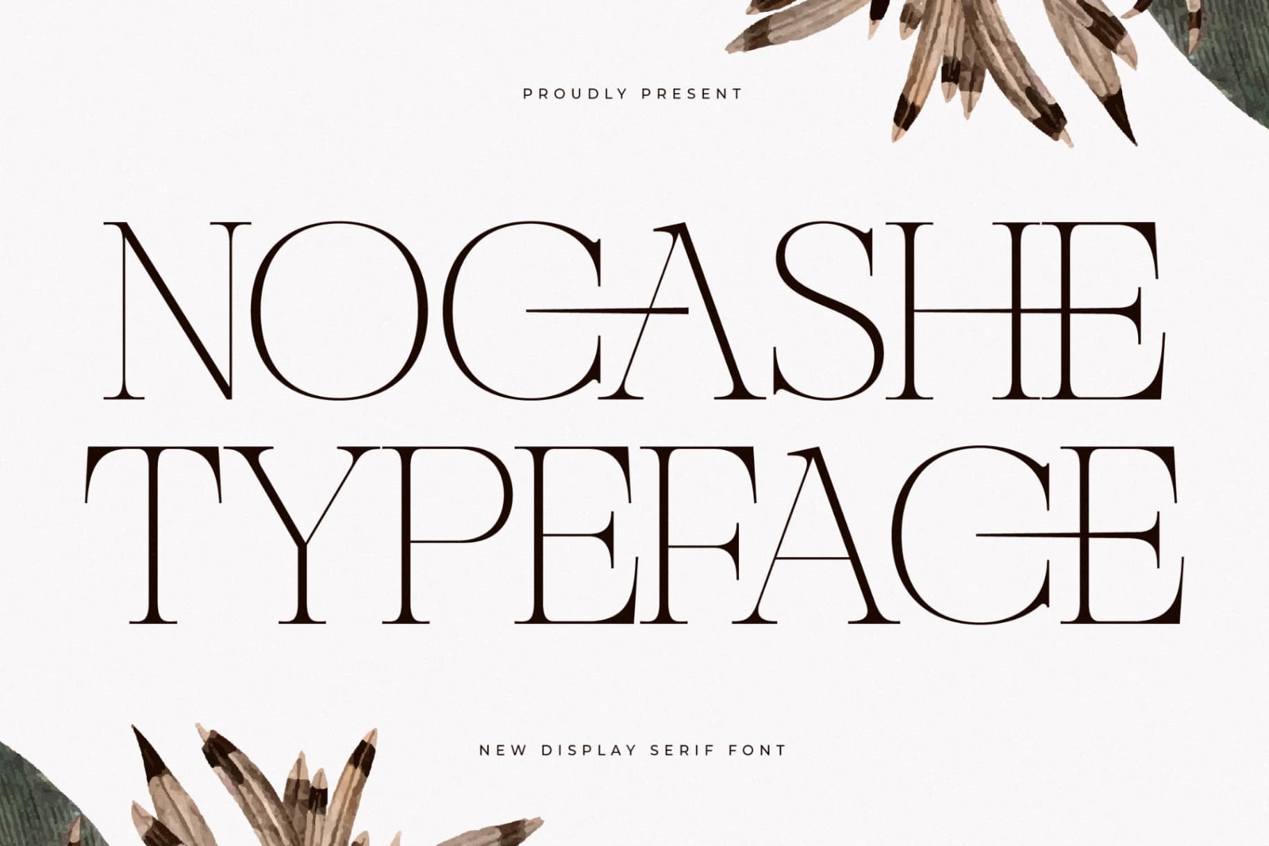 Preview of Nocashe - New Display Serif Font font