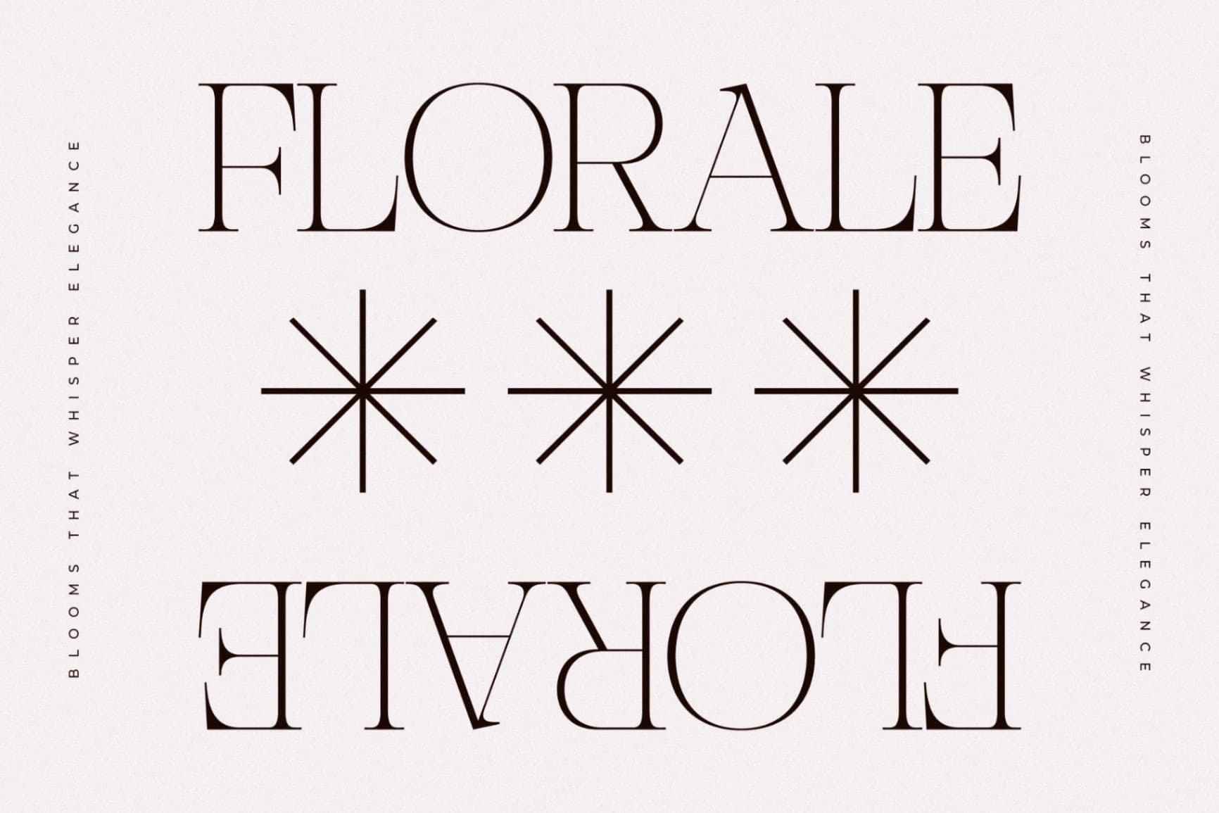 Preview 11 for Nocashe - New Display Serif Font
