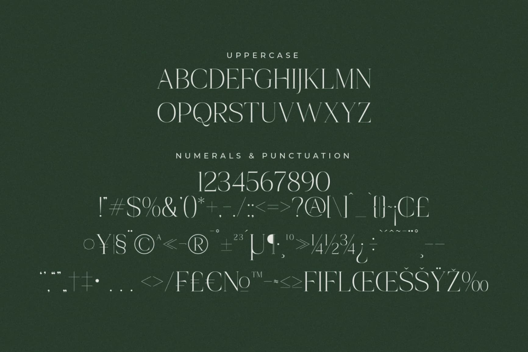 Preview 13 for Onesta Vigano - Elegant Display Serif
