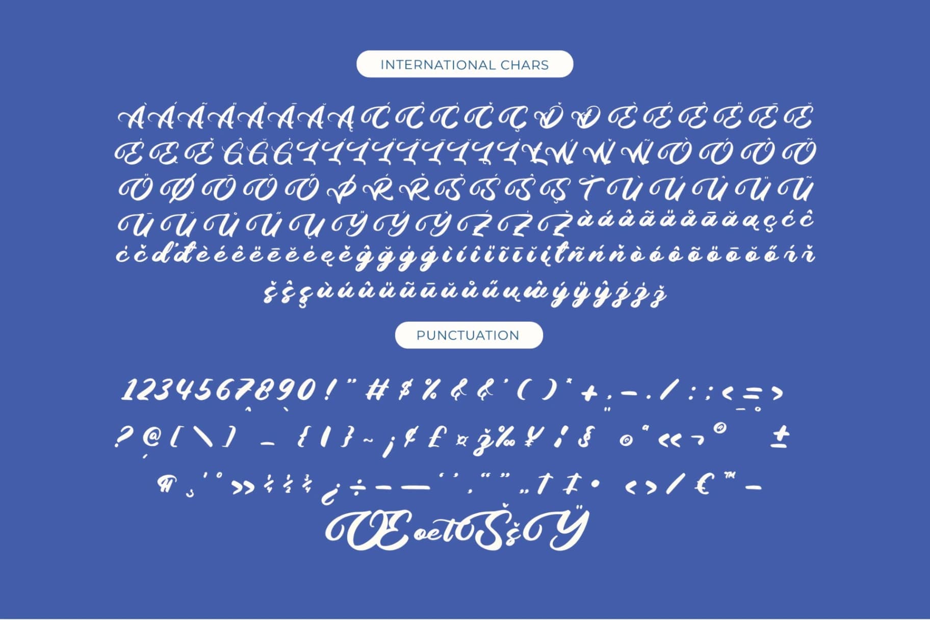 Preview 14 for Palmeria Rooted - Bold Calligraphy Font