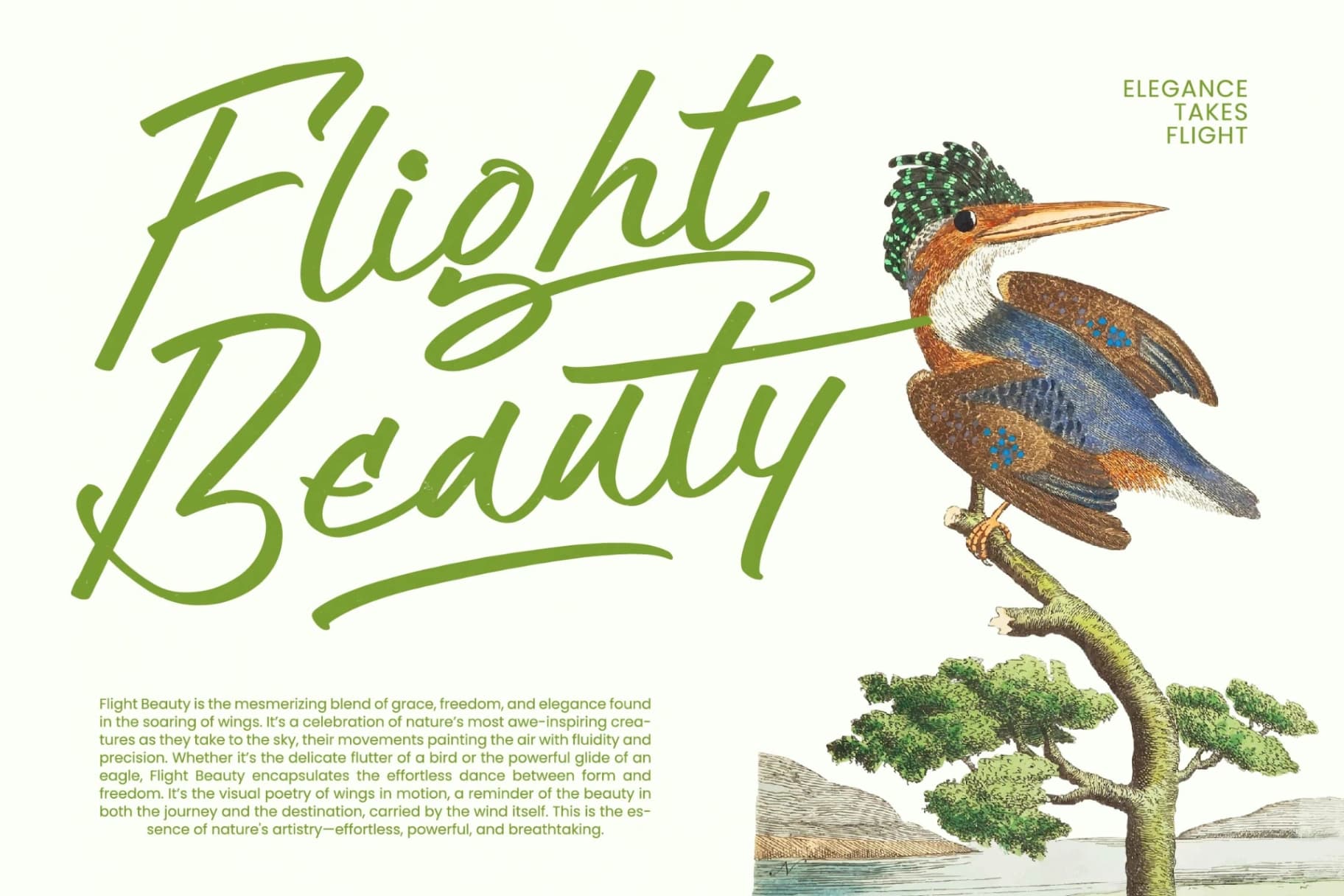 Preview 17 for Hulatin - Modern Brush Script