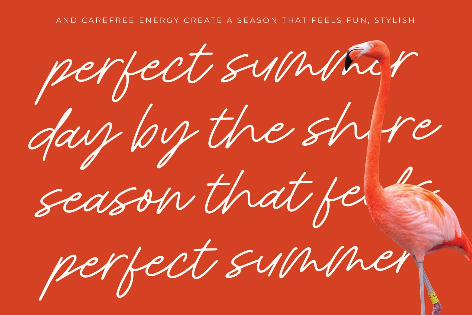 Preview 6 for Royal Spark - Handwritten Ink Font