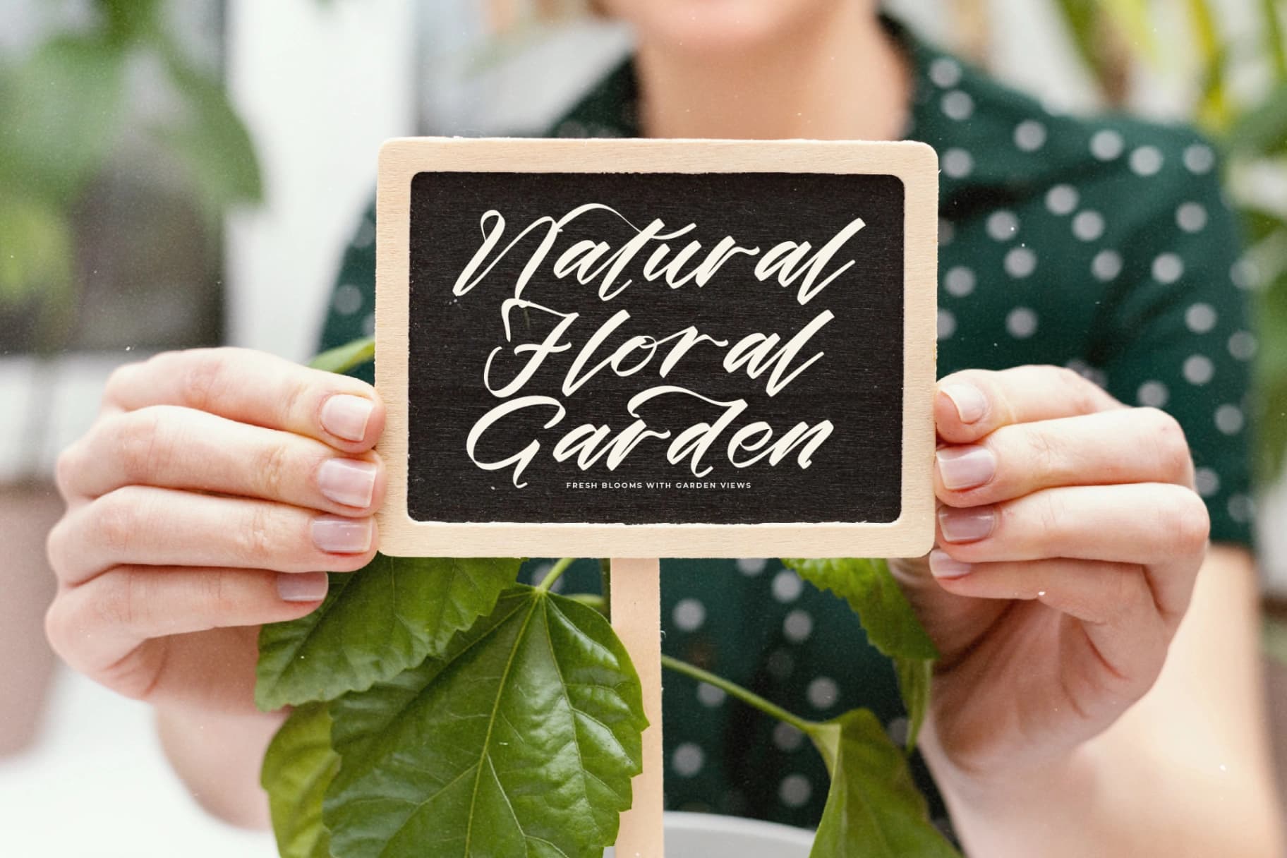 Preview 15 for Melifates - Modern Elegant Handwritten Script