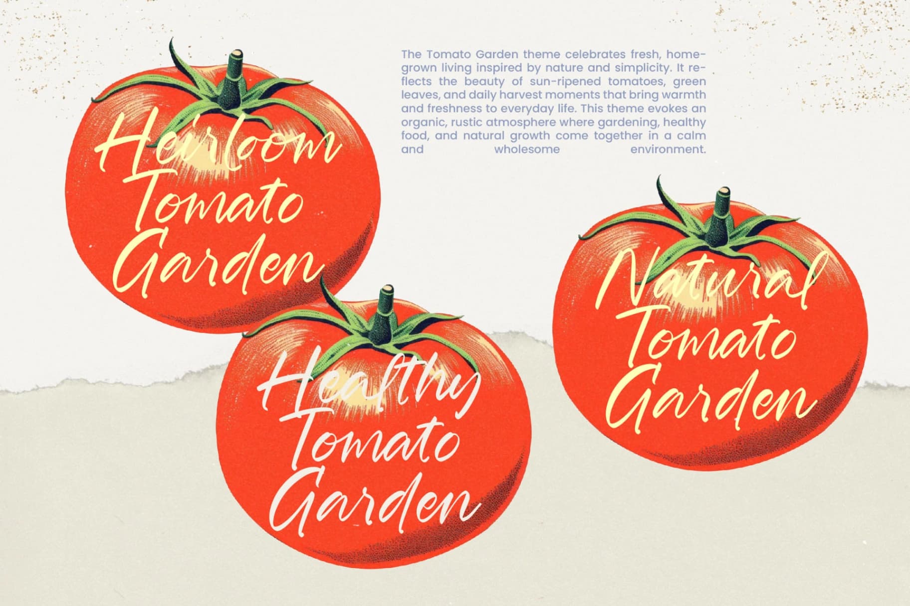 Preview 14 for Fordsmith - New Handwritten Script With Urban Elegance