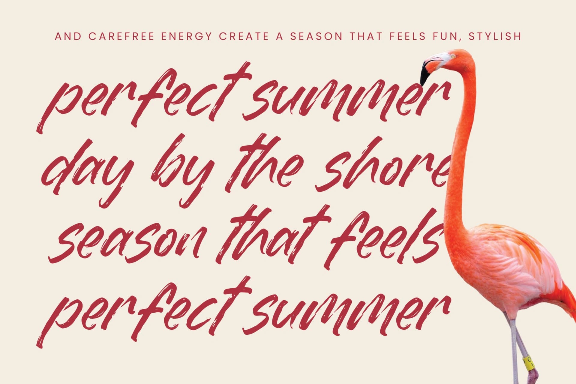 Preview 9 for Dummy Catidays - Handwritten Brush Font