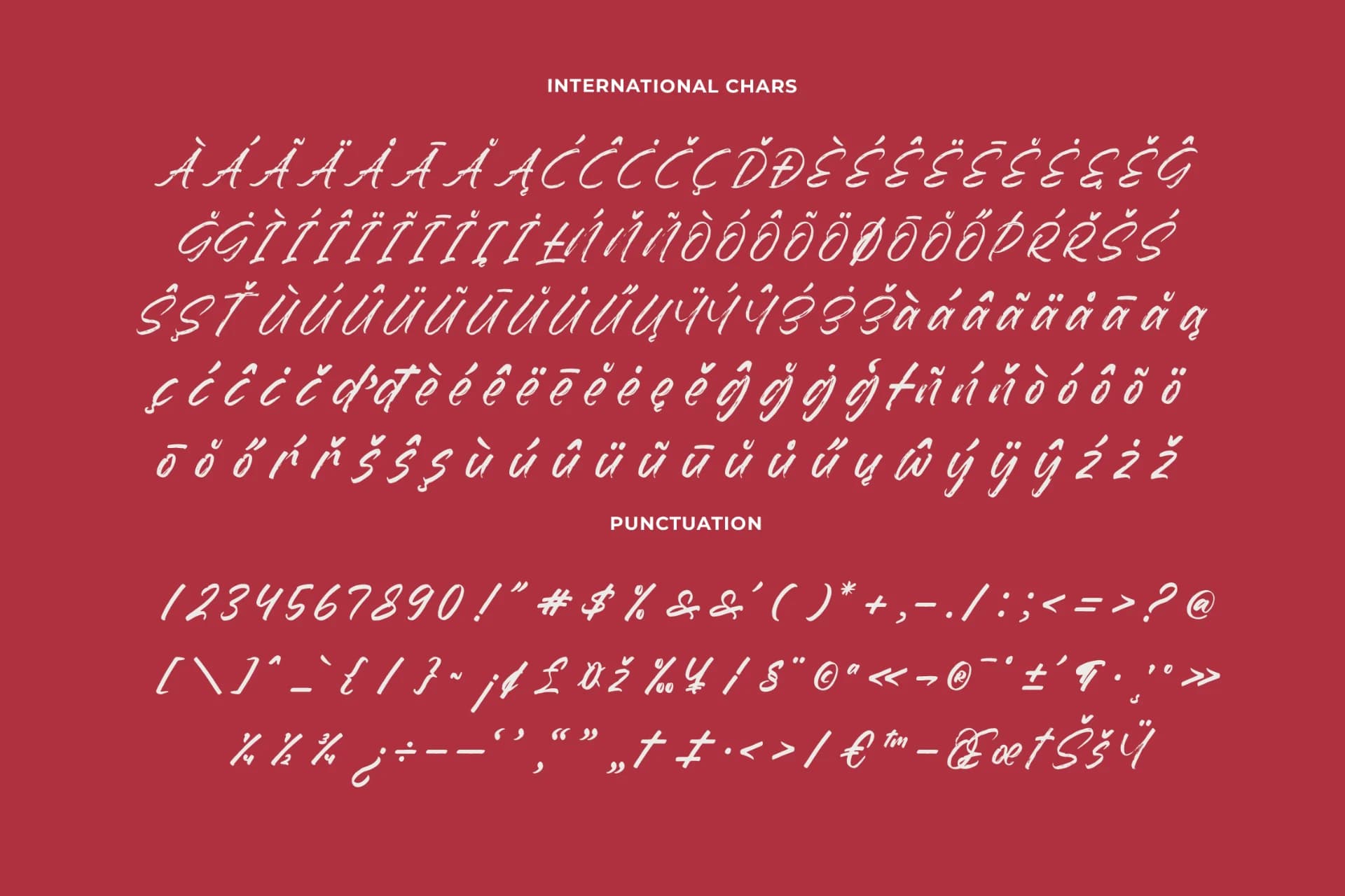 Preview 18 for Dummy Catidays - Handwritten Brush Font