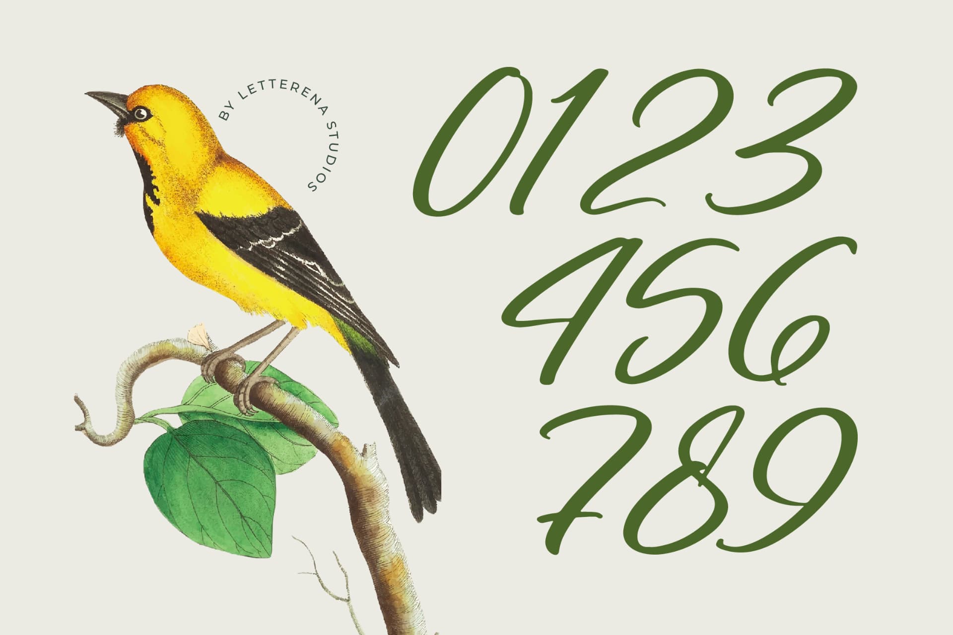 Preview 7 for Nostalgic Pictures - Casual Calligraphy Font