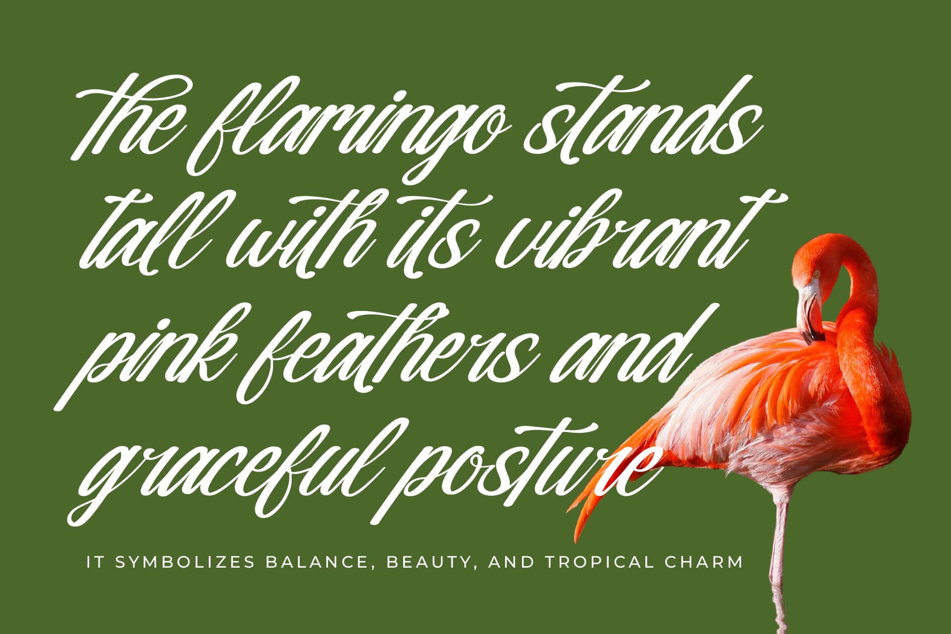 Preview 10 for Nostalgic Pictures - Casual Calligraphy Font