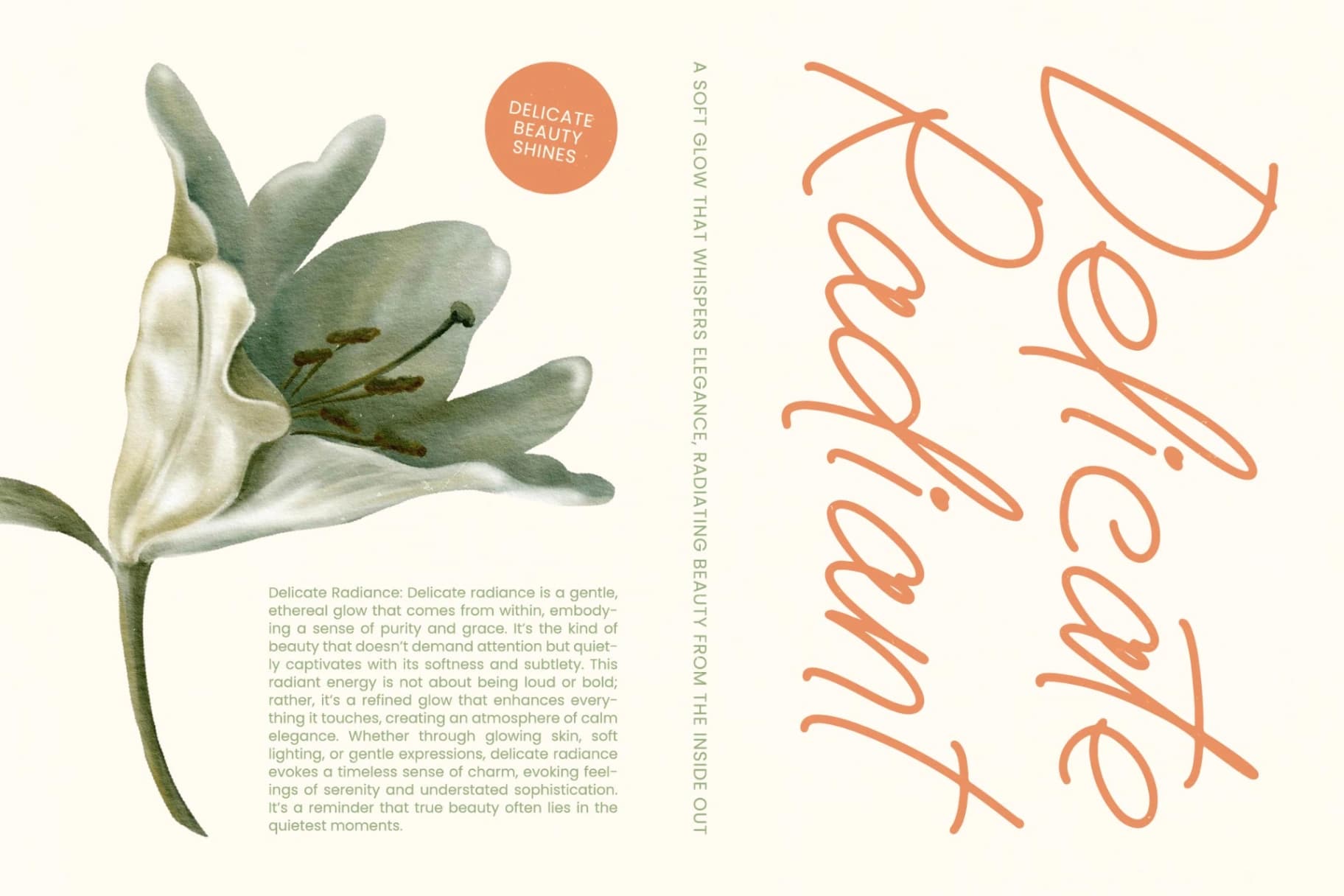 Preview 13 for Boltincy Lincolle - Notes Handwritten