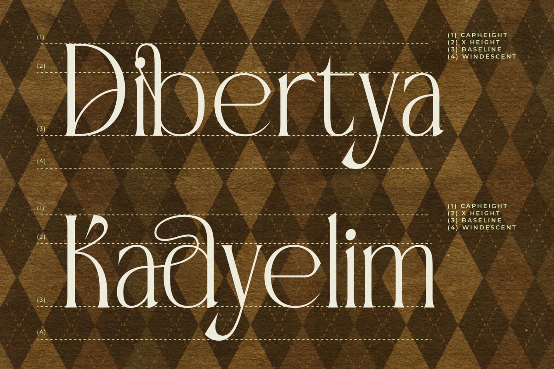 Preview 14 for Badgeils - Modern Alternate Serif Font