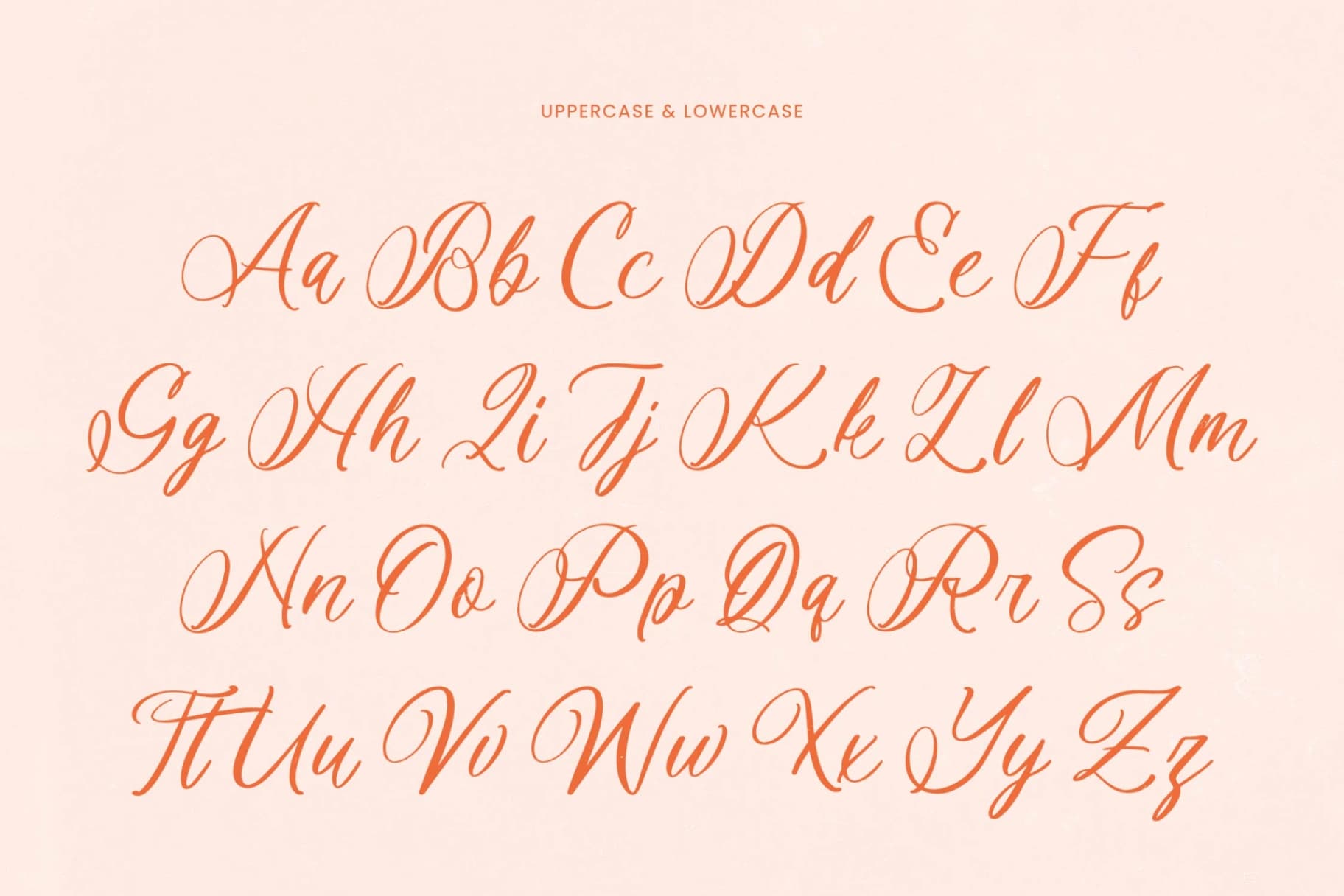 Preview 5 for Denieda Marceline – Bold Calligraphy Font
