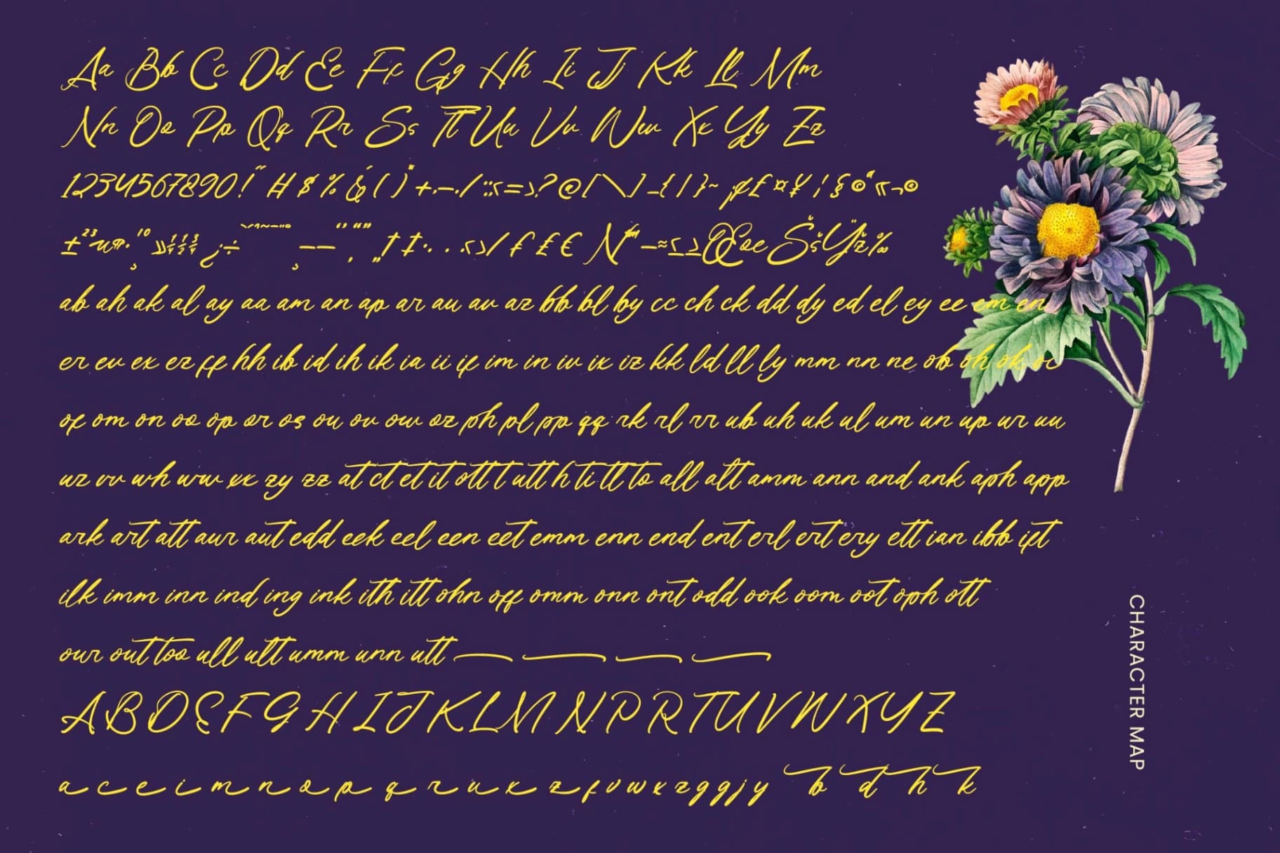 Preview 14 for Varhen Karisha - Handwritten Ink Font