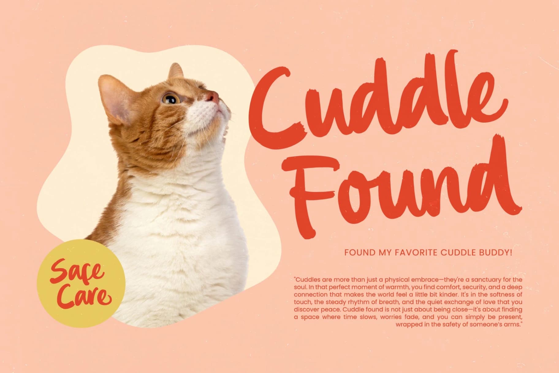 Preview 13 for Bemhila - Bold Brush Font